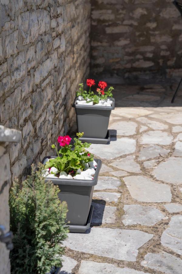 Zagori Home مونوديندري المظهر الخارجي الصورة